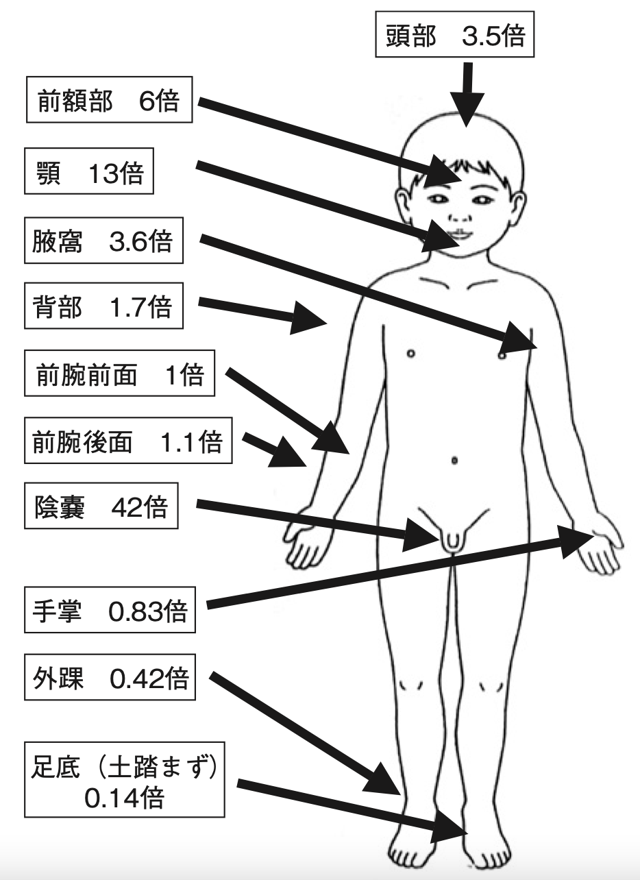 ステロイドの軟膏はどのように塗ると危険か？ | 鬼沢ファミリークリニック